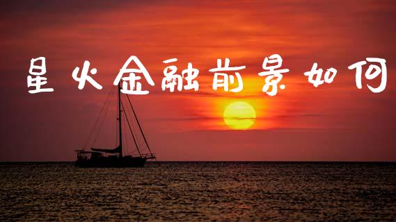 星火金融前景如何_https://wap.lxcailiao.com_股权投资_第1张