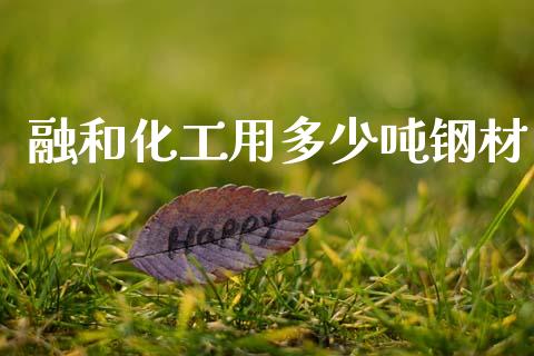 融和化工用多少吨钢材_https://wap.lxcailiao.com_金融监管_第1张