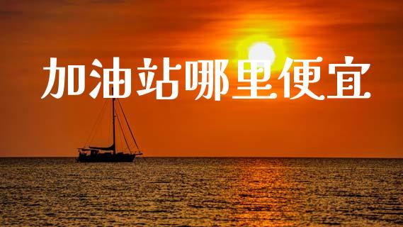 加油站哪里便宜_https://wap.lxcailiao.com_财务管理_第1张