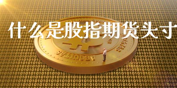 什么是股指期货头寸_https://wap.lxcailiao.com_股权投资_第1张