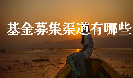 基金募集渠道有哪些_https://wap.lxcailiao.com_融资担保_第1张
