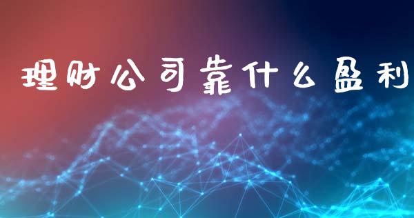 理财公司靠什么盈利_https://wap.lxcailiao.com_财务管理_第1张