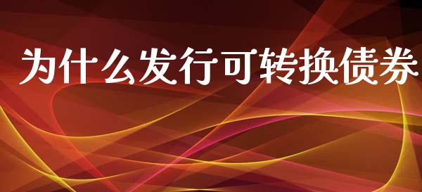 为什么发行可转换债券_https://wap.lxcailiao.com_金融监管_第1张