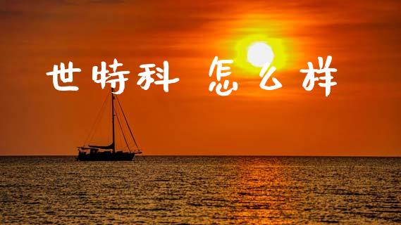 世特科 怎么样_https://wap.lxcailiao.com_融资担保_第1张