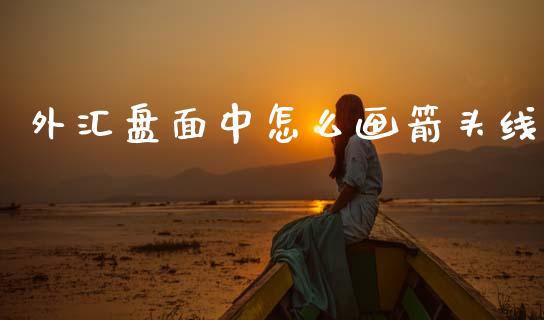 外汇盘面中怎么画箭头线_https://wap.lxcailiao.com_融资担保_第1张
