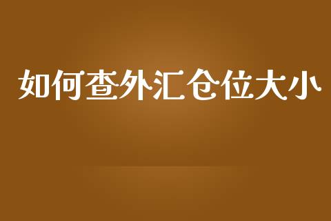 如何查外汇仓位大小_https://wap.lxcailiao.com_金融监管_第1张