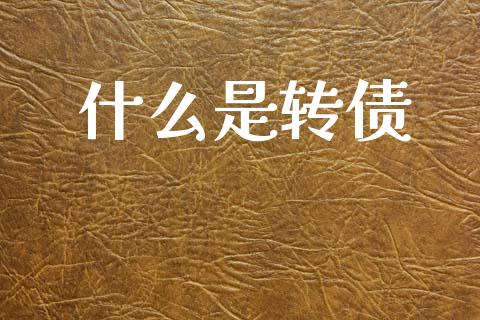 什么是转债_https://wap.lxcailiao.com_股权投资_第1张