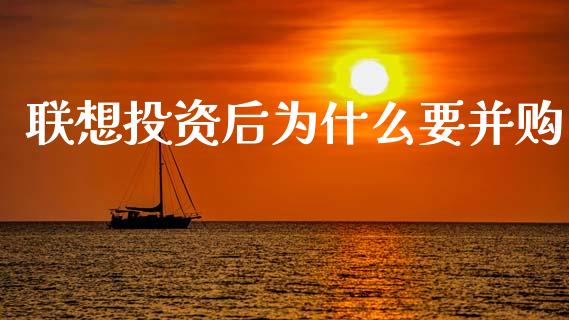 联想投资后为什么要并购_https://wap.lxcailiao.com_融资担保_第1张