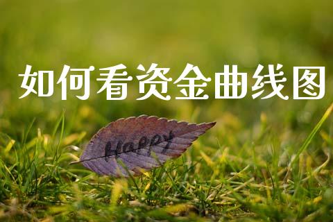 如何看资金曲线图_https://wap.lxcailiao.com_财务管理_第1张