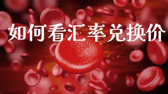 如何看汇率兑换价_https://wap.lxcailiao.com_融资担保_第1张