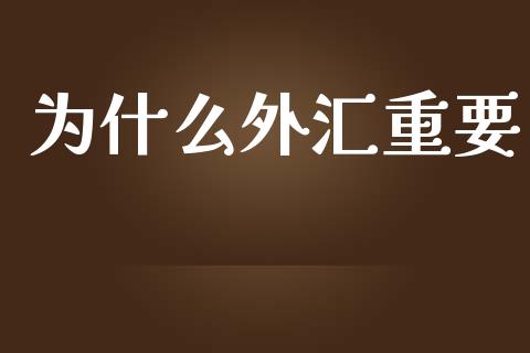 为什么外汇重要_https://wap.lxcailiao.com_股权投资_第1张