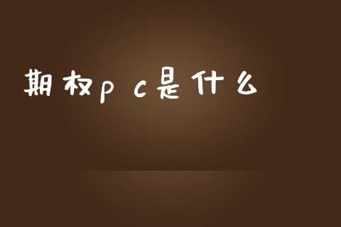 期权p c是什么_https://wap.lxcailiao.com_金融监管_第1张