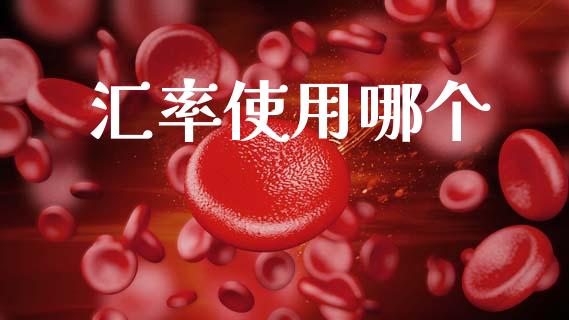 汇率使用哪个_https://wap.lxcailiao.com_财务管理_第1张