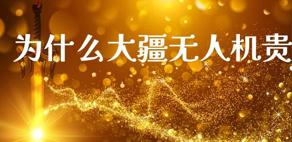 为什么大疆无人机贵_https://wap.lxcailiao.com_股权投资_第1张