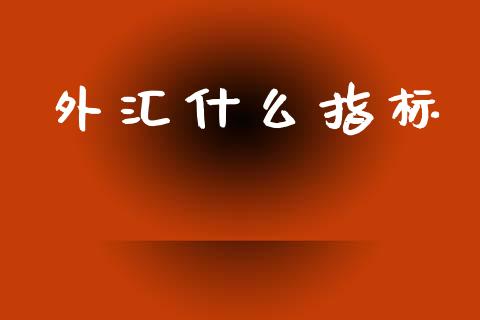 外汇什么指标_https://wap.lxcailiao.com_金融监管_第1张