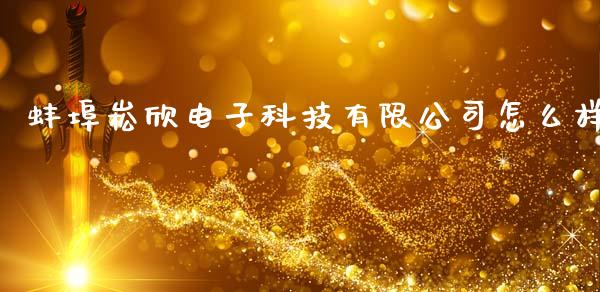 蚌埠崧欣电子科技有限公司怎么样_https://wap.lxcailiao.com_融资担保_第1张
