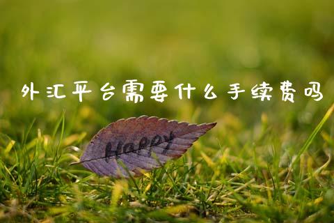 外汇平台需要什么手续费吗_https://wap.lxcailiao.com_融资担保_第1张