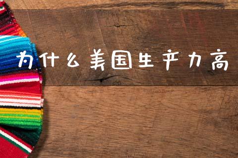 为什么美国生产力高_https://wap.lxcailiao.com_股权投资_第1张