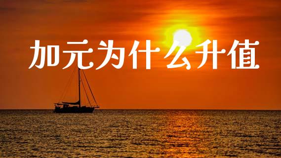 加元为什么升值_https://wap.lxcailiao.com_融资担保_第1张