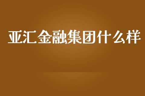 亚汇金融集团什么样_https://wap.lxcailiao.com_财务管理_第1张