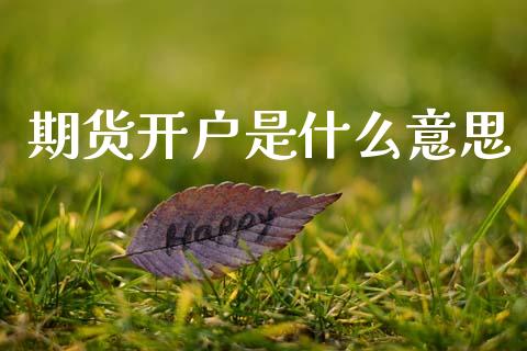 期货开户是什么意思_https://wap.lxcailiao.com_金融监管_第1张