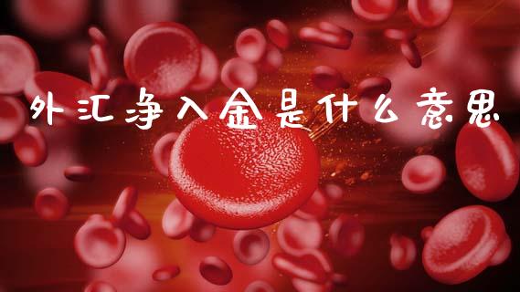 外汇净入金是什么意思_https://wap.lxcailiao.com_财务管理_第1张