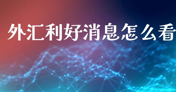 外汇利好消息怎么看_https://wap.lxcailiao.com_财务管理_第1张