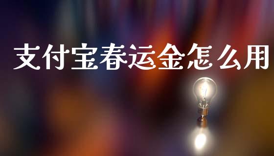 支付宝春运金怎么用_https://wap.lxcailiao.com_股权投资_第1张