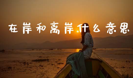 在岸和离岸什么意思_https://wap.lxcailiao.com_财务管理_第1张