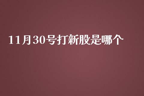 11月30号打新股是哪个_https://wap.lxcailiao.com_财务管理_第1张