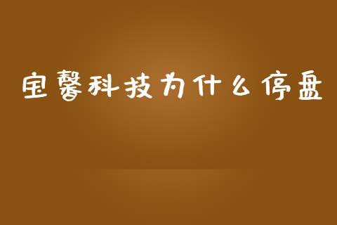 宝馨科技为什么停盘_https://wap.lxcailiao.com_金融监管_第1张