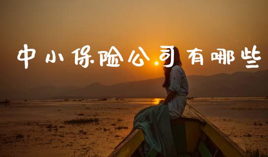 中小保险公司有哪些_https://wap.lxcailiao.com_金融监管_第1张