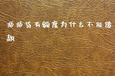 拍拍贷有额度为什么不能借款_https://wap.lxcailiao.com_融资担保_第1张