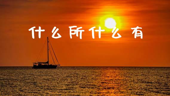 什么所什么有_https://wap.lxcailiao.com_财务管理_第1张