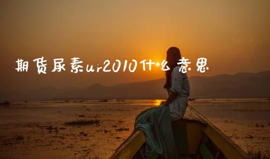 期货尿素ur2010什么意思_https://wap.lxcailiao.com_金融监管_第1张