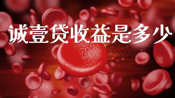 诚壹贷收益是多少_https://wap.lxcailiao.com_融资担保_第1张