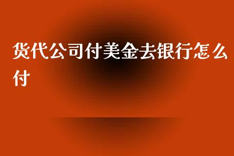 货代公司付美金去银行怎么付_https://wap.lxcailiao.com_融资担保_第1张