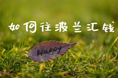 如何往波兰汇钱_https://wap.lxcailiao.com_股权投资_第1张