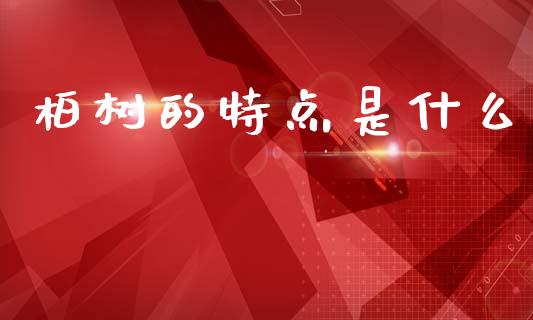 柏树的特点是什么_https://wap.lxcailiao.com_财务管理_第1张