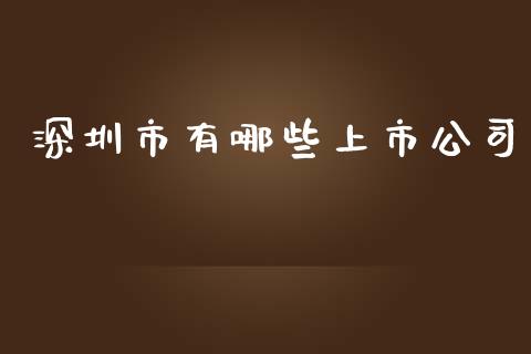 深圳市有哪些上市公司_https://wap.lxcailiao.com_金融监管_第1张