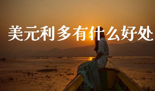 美元利多有什么好处_https://wap.lxcailiao.com_融资担保_第1张