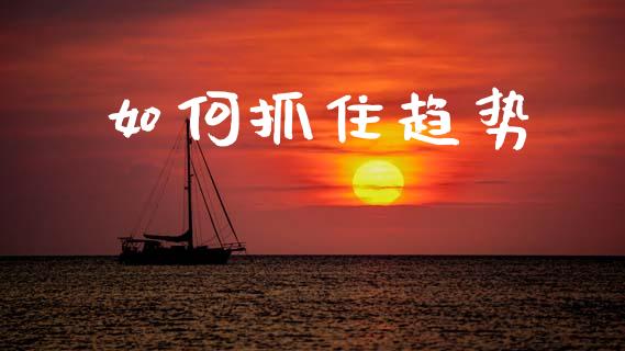 如何抓住趋势_https://wap.lxcailiao.com_融资担保_第1张
