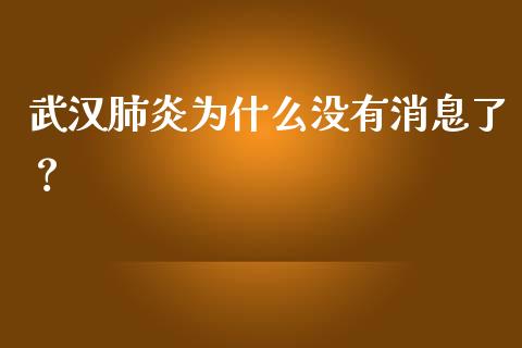武汉肺炎为什么没有消息了？_https://wap.lxcailiao.com_金融监管_第1张