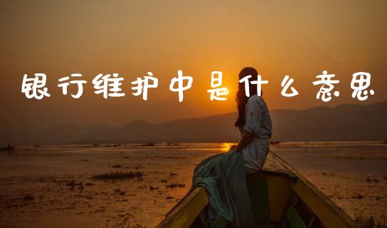 银行维护中是什么意思_https://wap.lxcailiao.com_财务管理_第1张