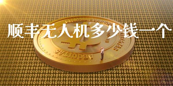 顺丰无人机多少钱一个_https://wap.lxcailiao.com_财务管理_第1张