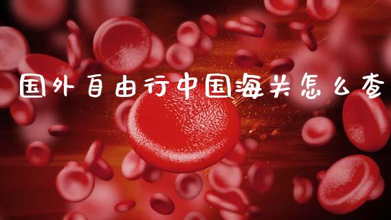 国外自由行中国海关怎么查_https://wap.lxcailiao.com_股权投资_第1张
