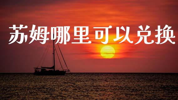 苏姆哪里可以兑换_https://wap.lxcailiao.com_融资担保_第1张
