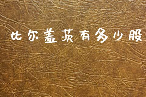 比尔盖茨有多少股_https://wap.lxcailiao.com_融资担保_第1张