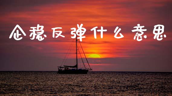 企稳反弹什么意思_股权投资_第1张_金融监管_融资担保_财务管理_股权投资 企稳反弹什么意思_https://wap.lxcailiao.com_股权投资_第1张