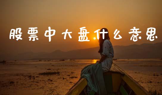 股票中大盘什么意思_https://wap.lxcailiao.com_股权投资_第1张